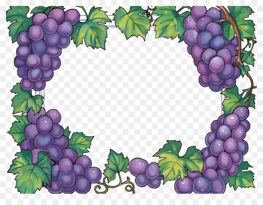 Bordure De Raisin，Raisins PNG