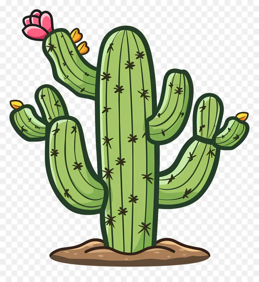 Cactus Vert，Cactus PNG