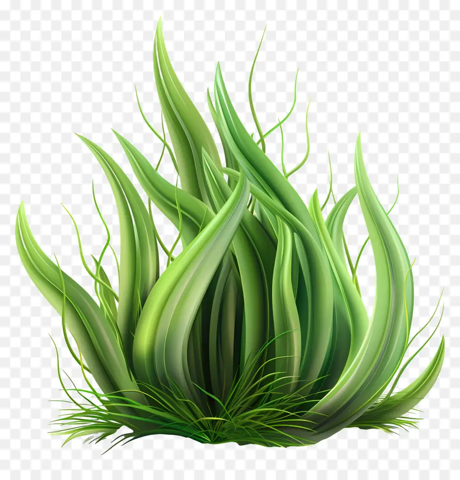 Plante D'herbe，Herbe Verte PNG