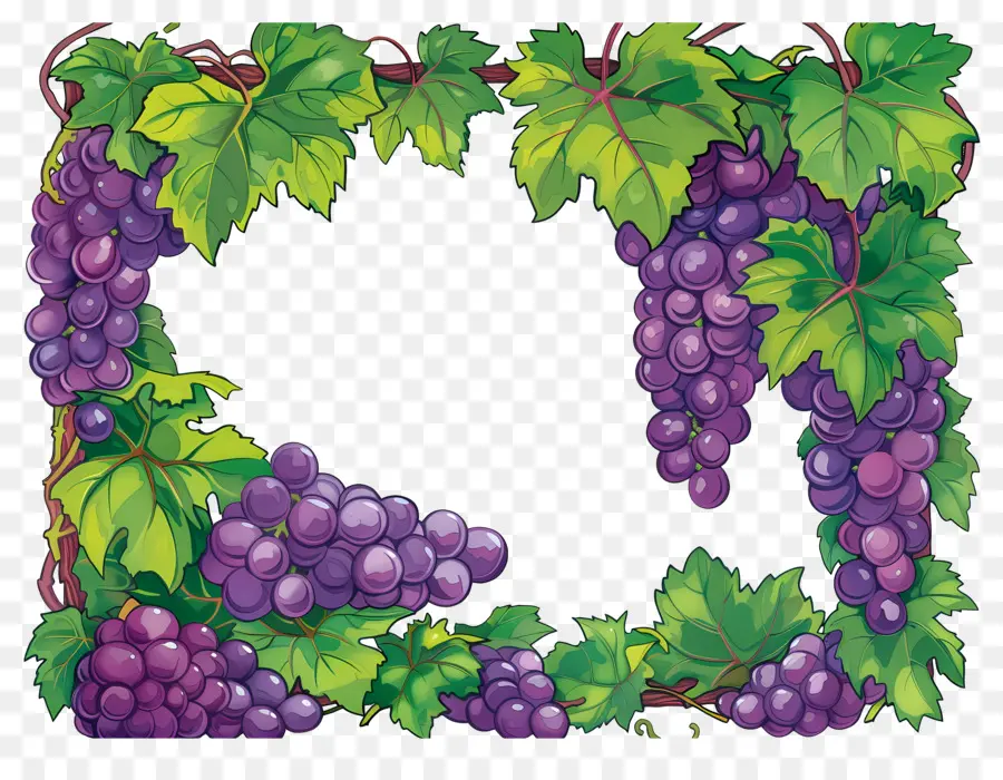 Bordure De Raisin，Raisins PNG