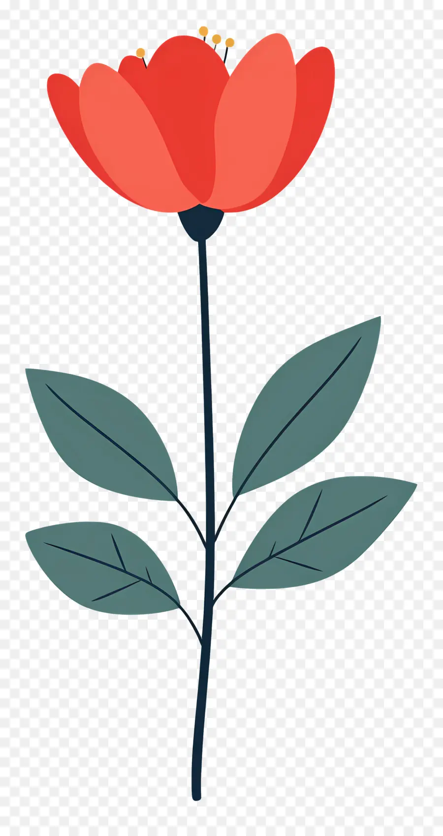 Fleur Unique，Fleur De Coquelicot Rouge PNG