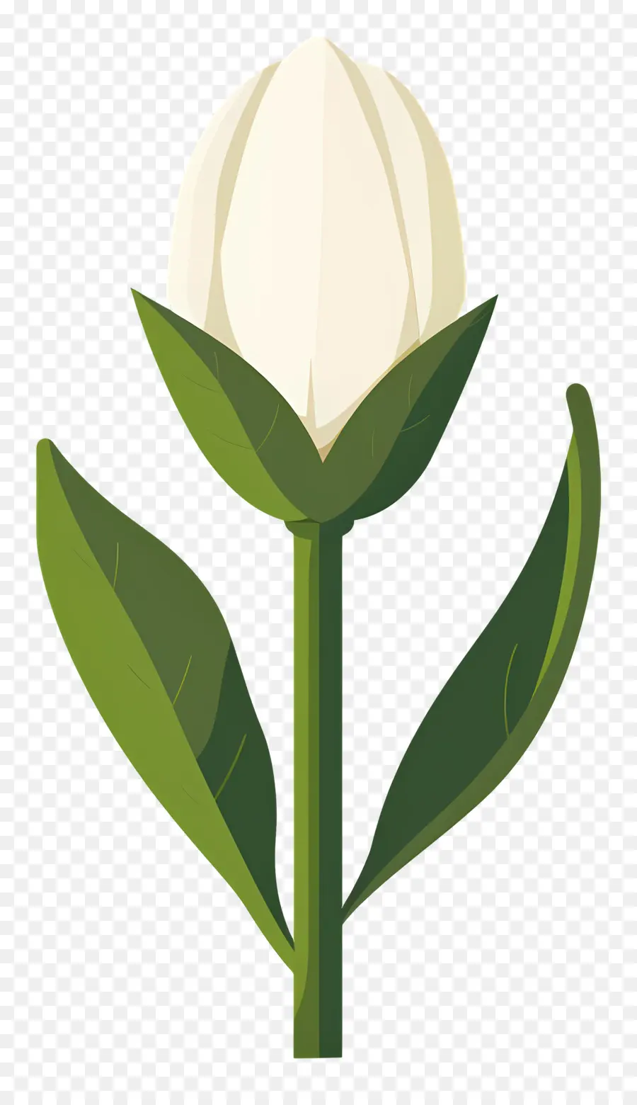 Fleur Unique，Tulipe Blanche PNG