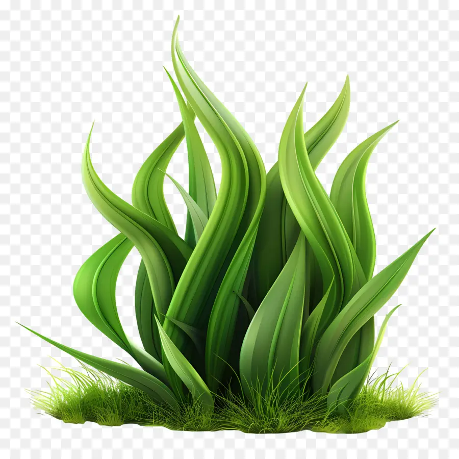 Plante D'herbe，Herbe Verte PNG