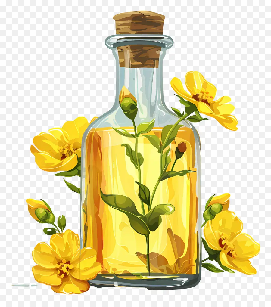 Huile De Canola，Bouteille à Fleurs Jaunes PNG