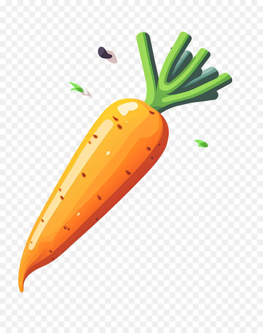 Carotte，Carotte Orange PNG