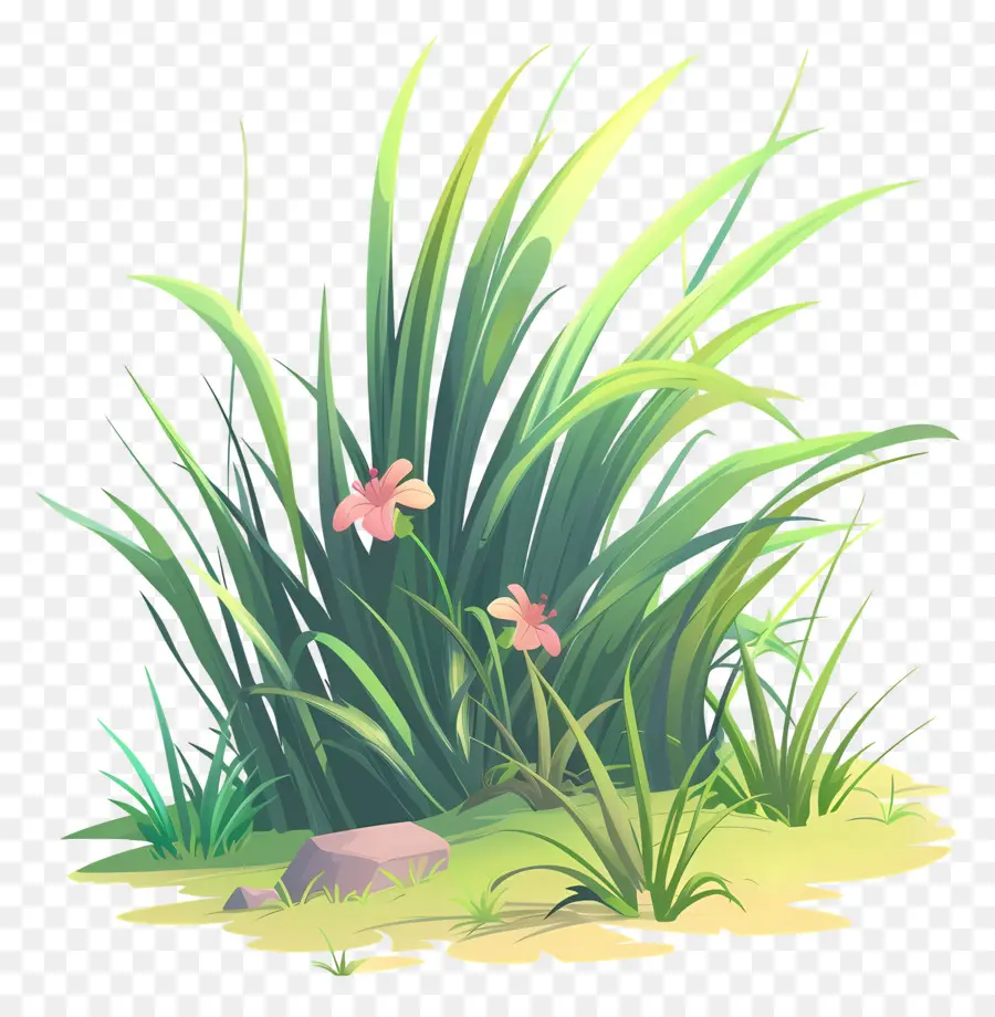 Fleur D'herbe，Herbe PNG