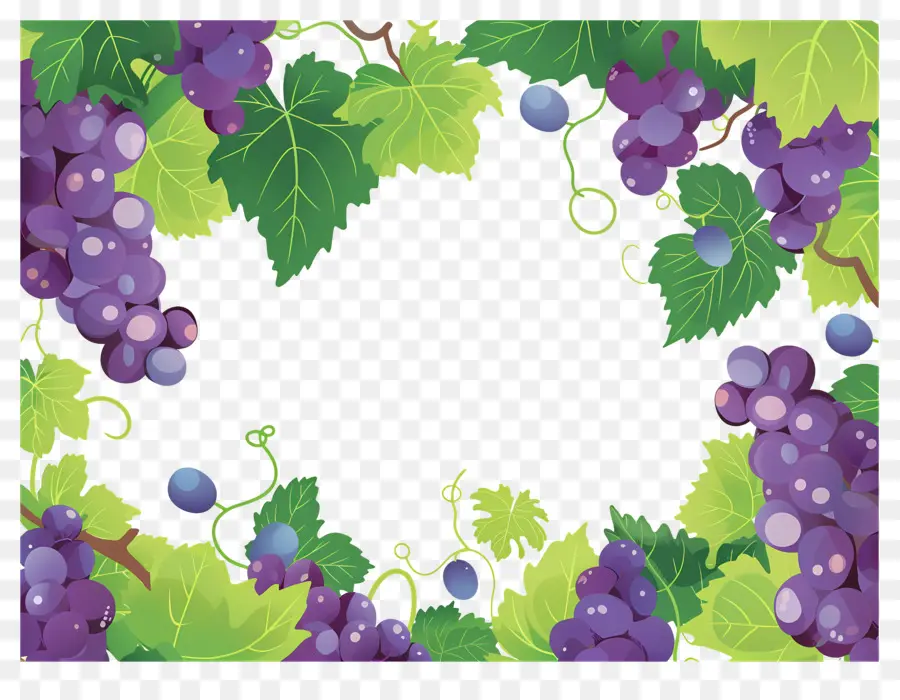 Bordure De Raisin，Raisins PNG