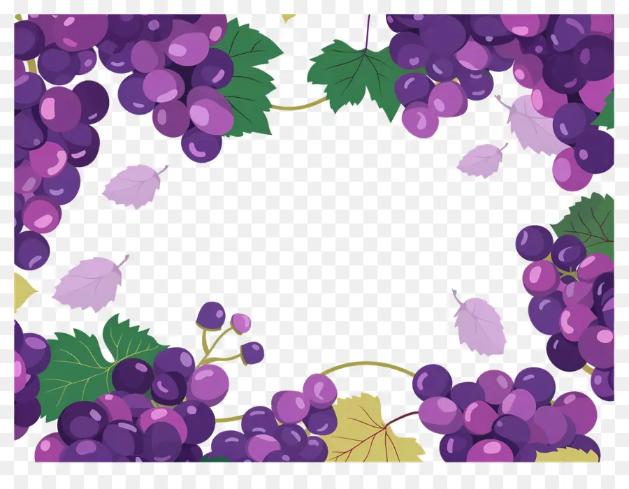 Bordure De Raisin，Cadre De Raisins PNG