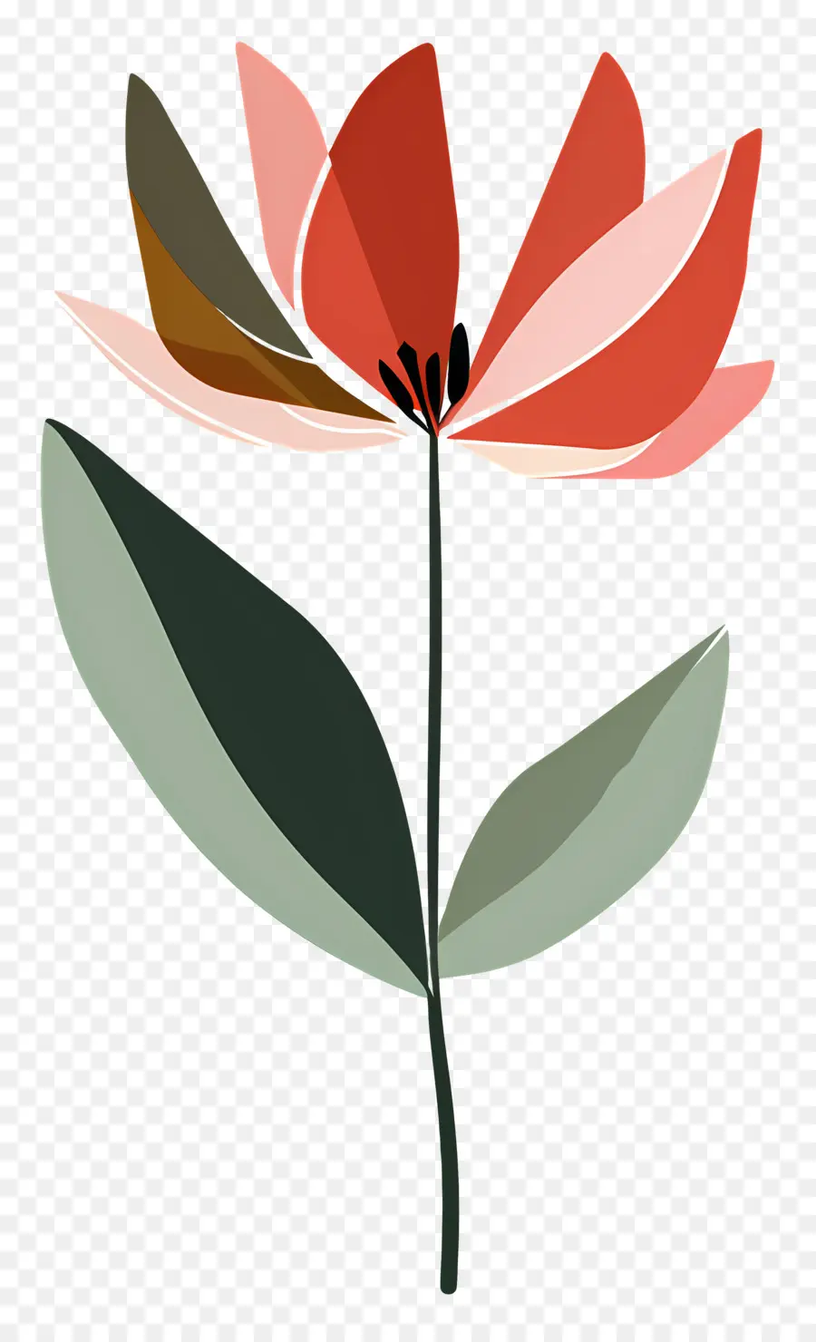 Fleur Unique，Fleur PNG