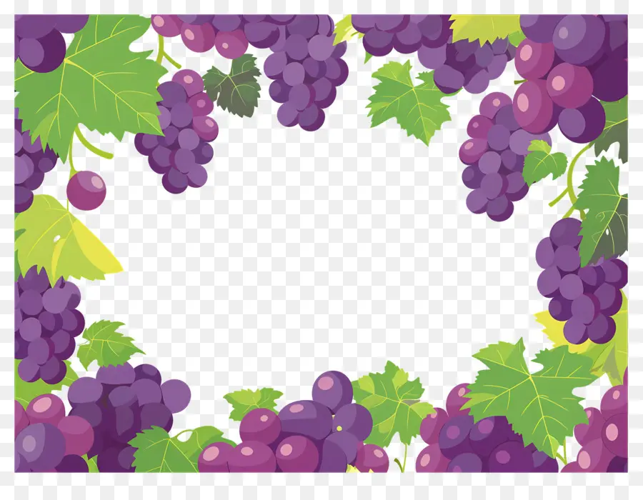 Bordure De Raisin，Cadre De Raisins PNG