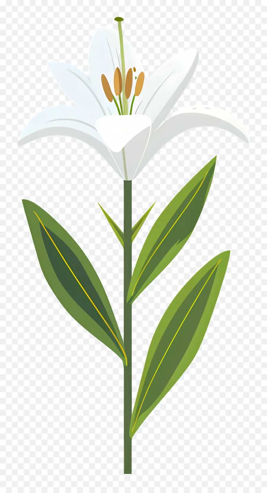 Fleur Unique，Fleur Blanche PNG