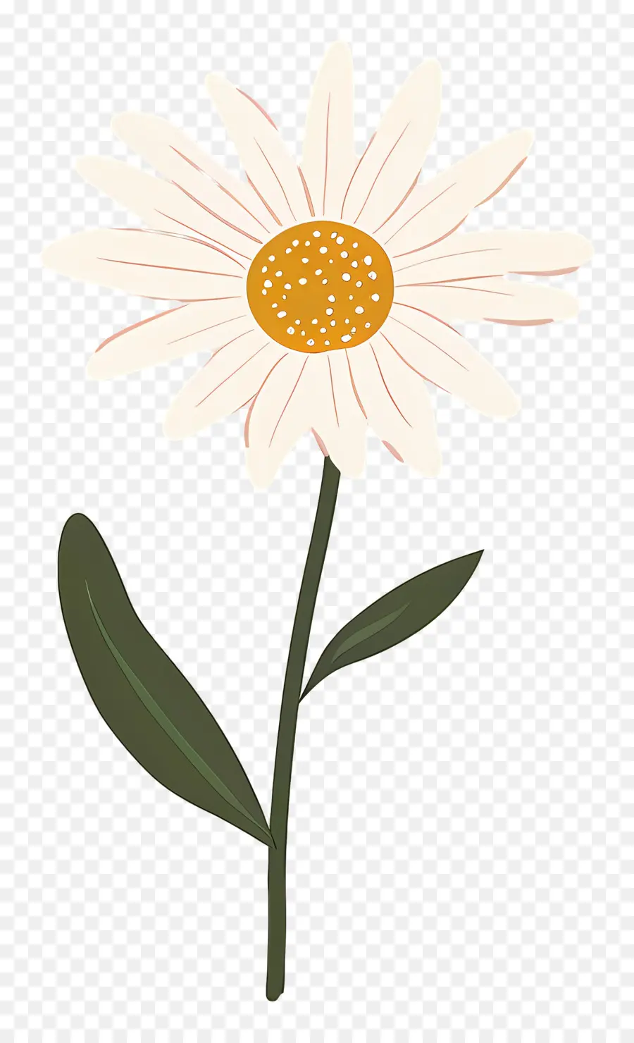 Fleur Unique，Marguerite PNG