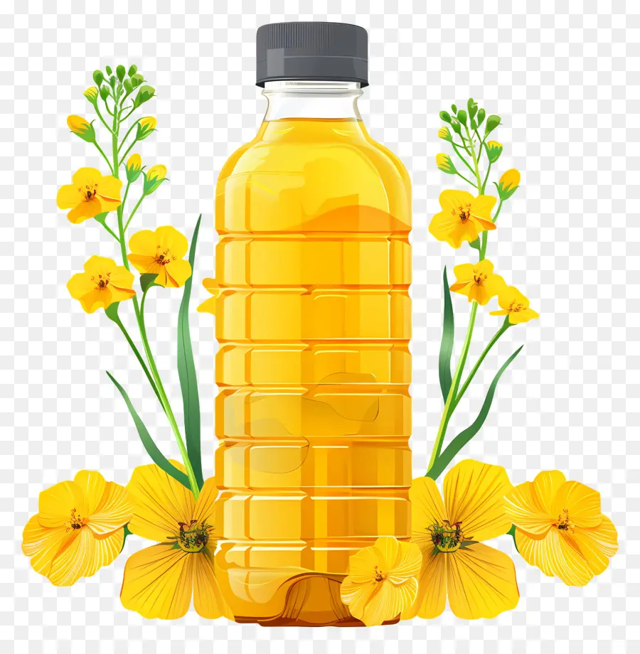 Huile De Canola，Bouteille D'huile PNG