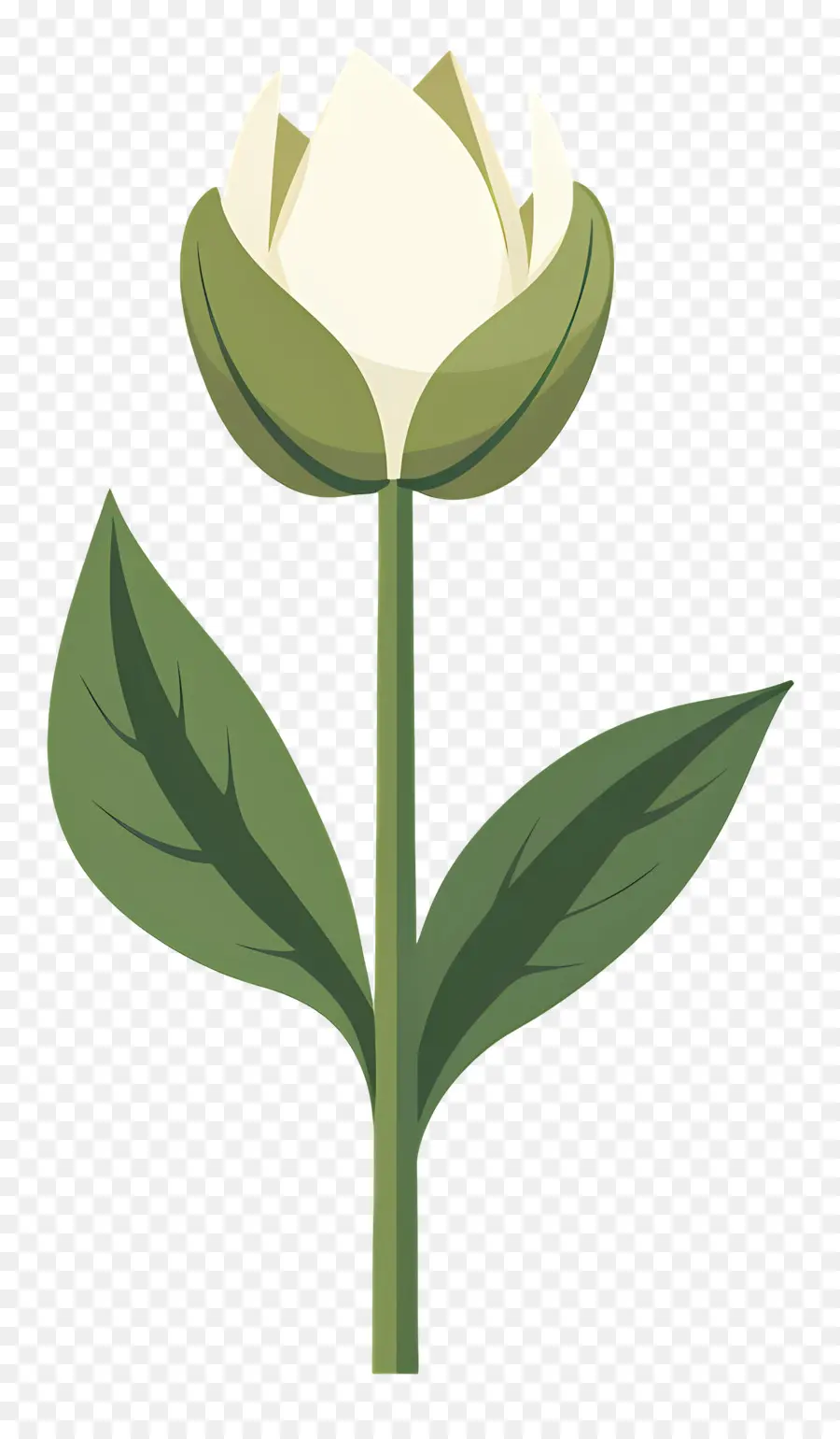 Fleur Unique，Fleur PNG