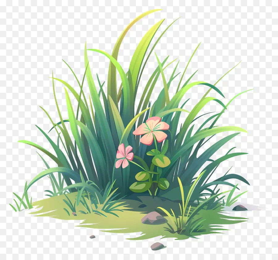 Fleur D'herbe，Plantes PNG