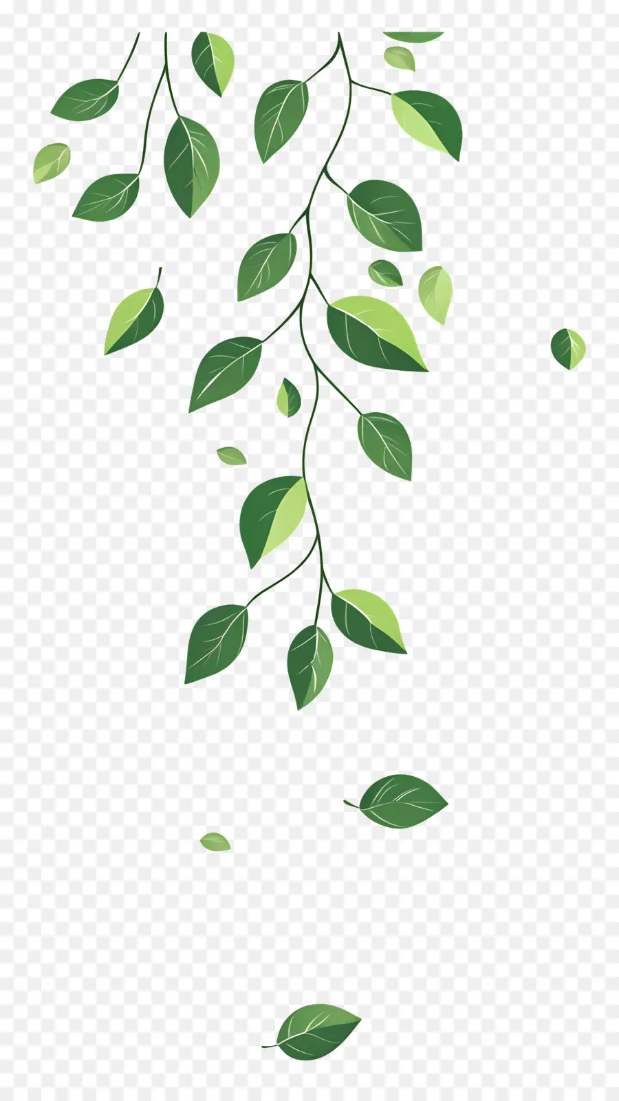 Feuilles Qui Tombent，Feuilles PNG