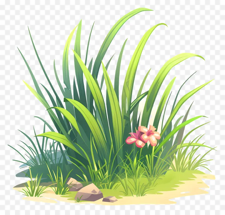 Fleur D'herbe，Herbe PNG