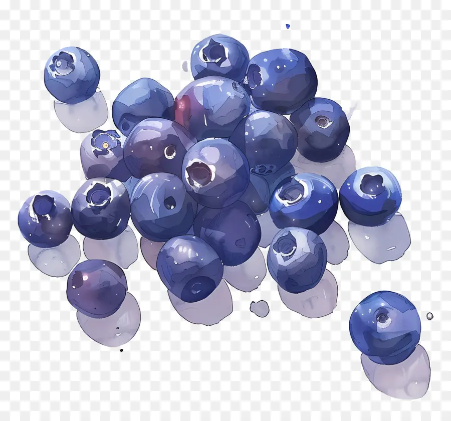 Bleuets Aquarelle，Bleuets PNG