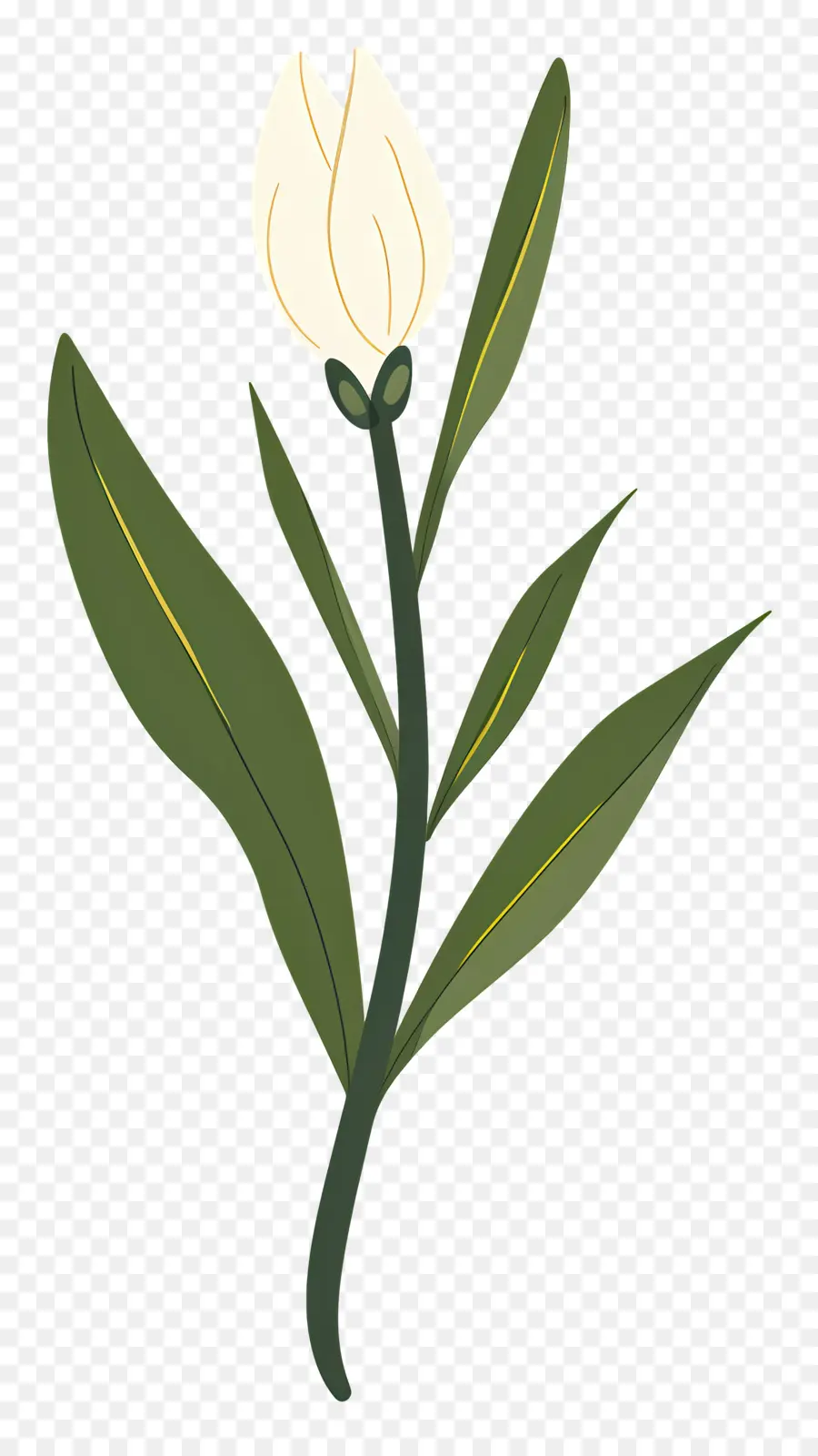 Fleur Unique，Fleur Blanche PNG