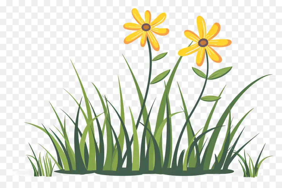 Fleur D'herbe，Fleurs Jaunes PNG