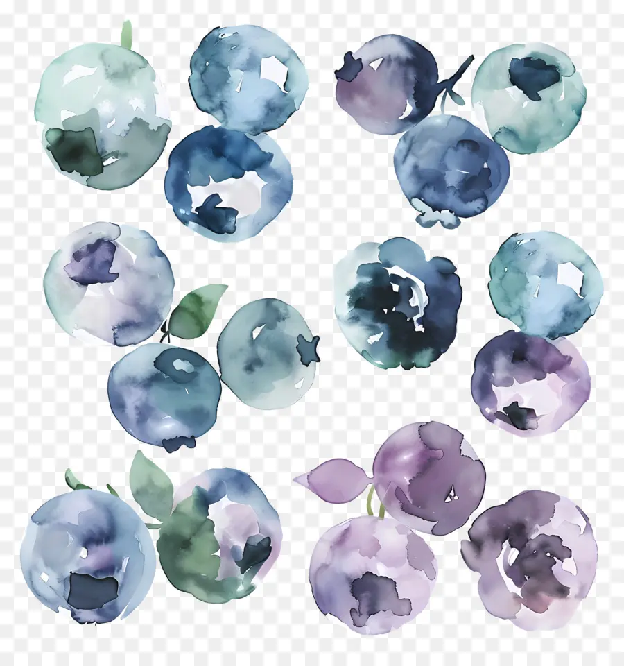 Bleuets Aquarelle，Bleuets PNG