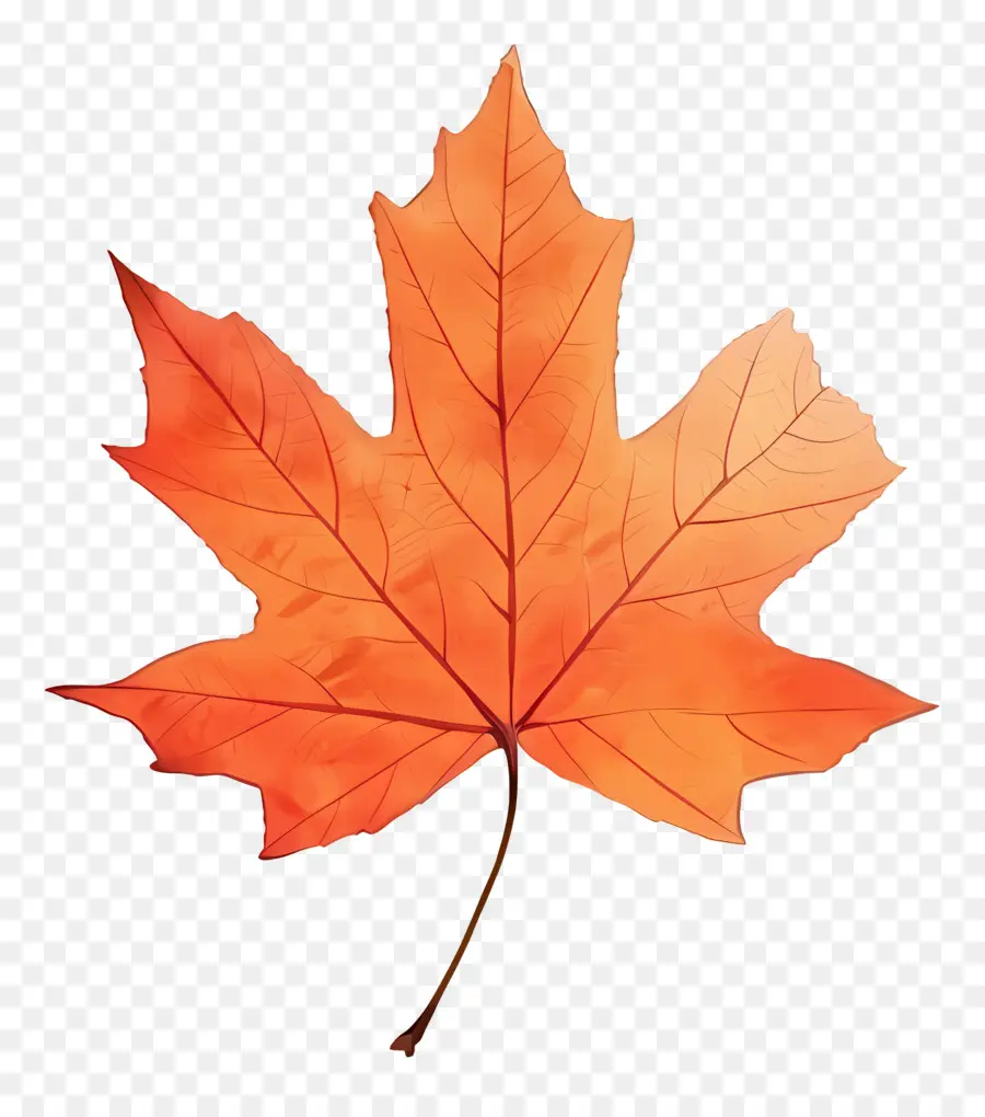 Feuille D'érable D'automne，Feuille D'automne PNG