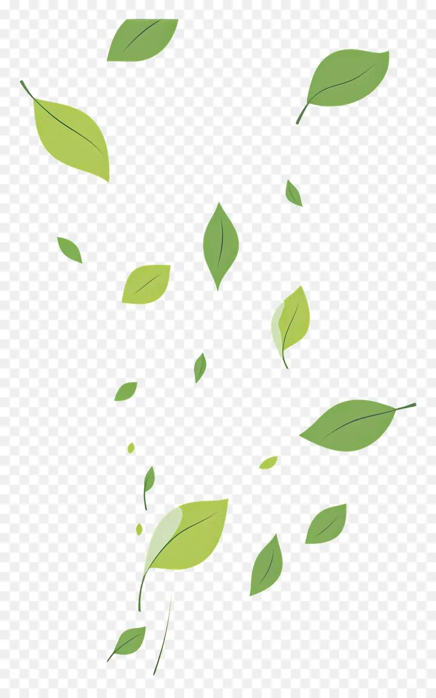 Feuilles Qui Tombent，Feuilles PNG