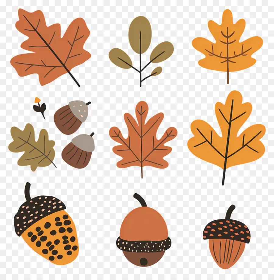 Feuilles D'automne，Feuilles Et Glands D'automne PNG