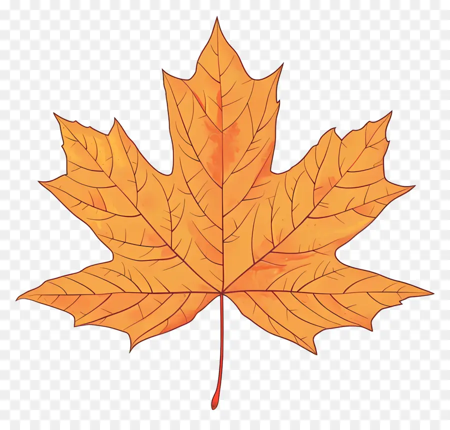 Feuille D'érable D'automne，Feuille D'automne PNG