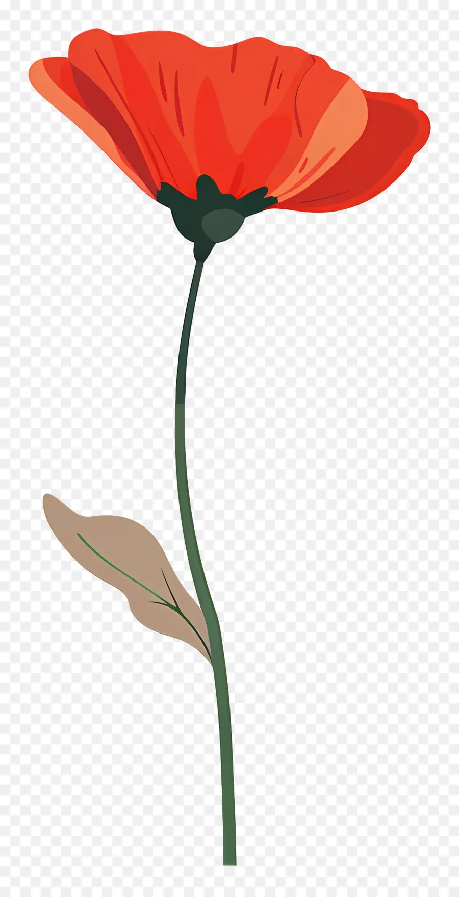 Fleur Unique，Fleur De Coquelicot Rouge PNG