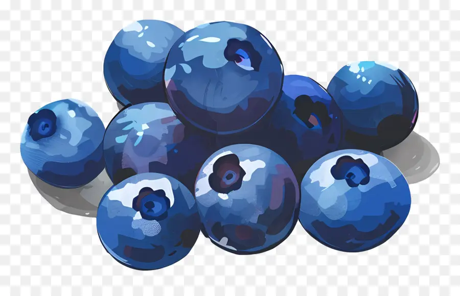 Bleuets Aquarelle，Bleuets PNG