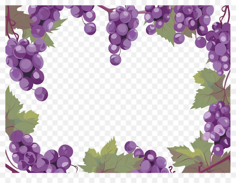 Bordure De Raisin，Cadre De Raisins PNG