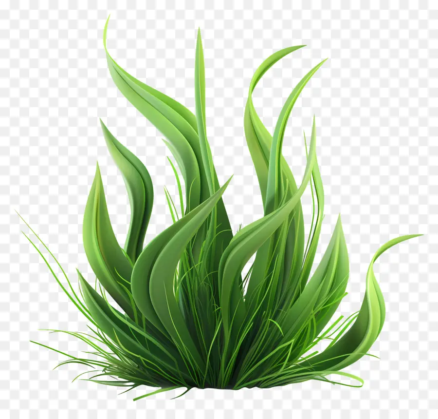 Plante D'herbe，Herbe Verte PNG