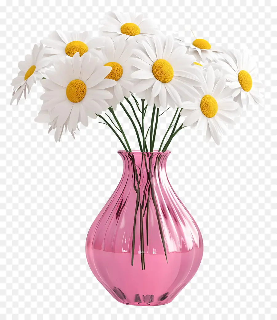 Vase Marguerite，Marguerites Blanches Dans Un Vase Rose PNG