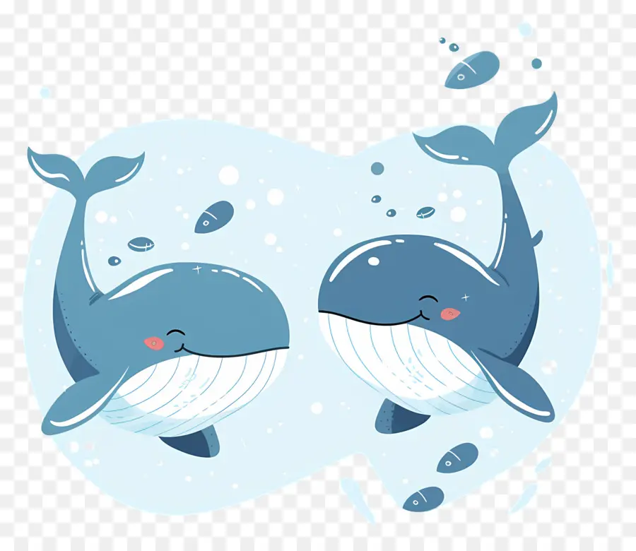 Jolie Baleine，Baleines Bleues PNG