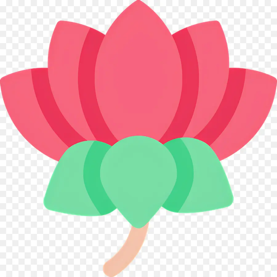 Symbole Du Lotus，Lotus Rouge PNG