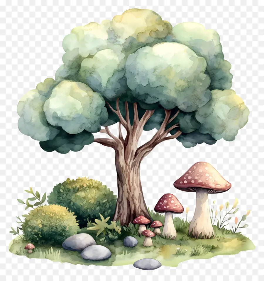 Arbre Aquarelle，Arbre Et Champignons PNG