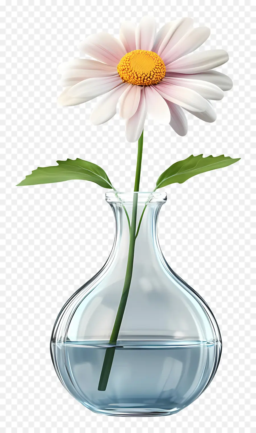 Vase Marguerite，Marguerites Dans Un Vase Transparent PNG