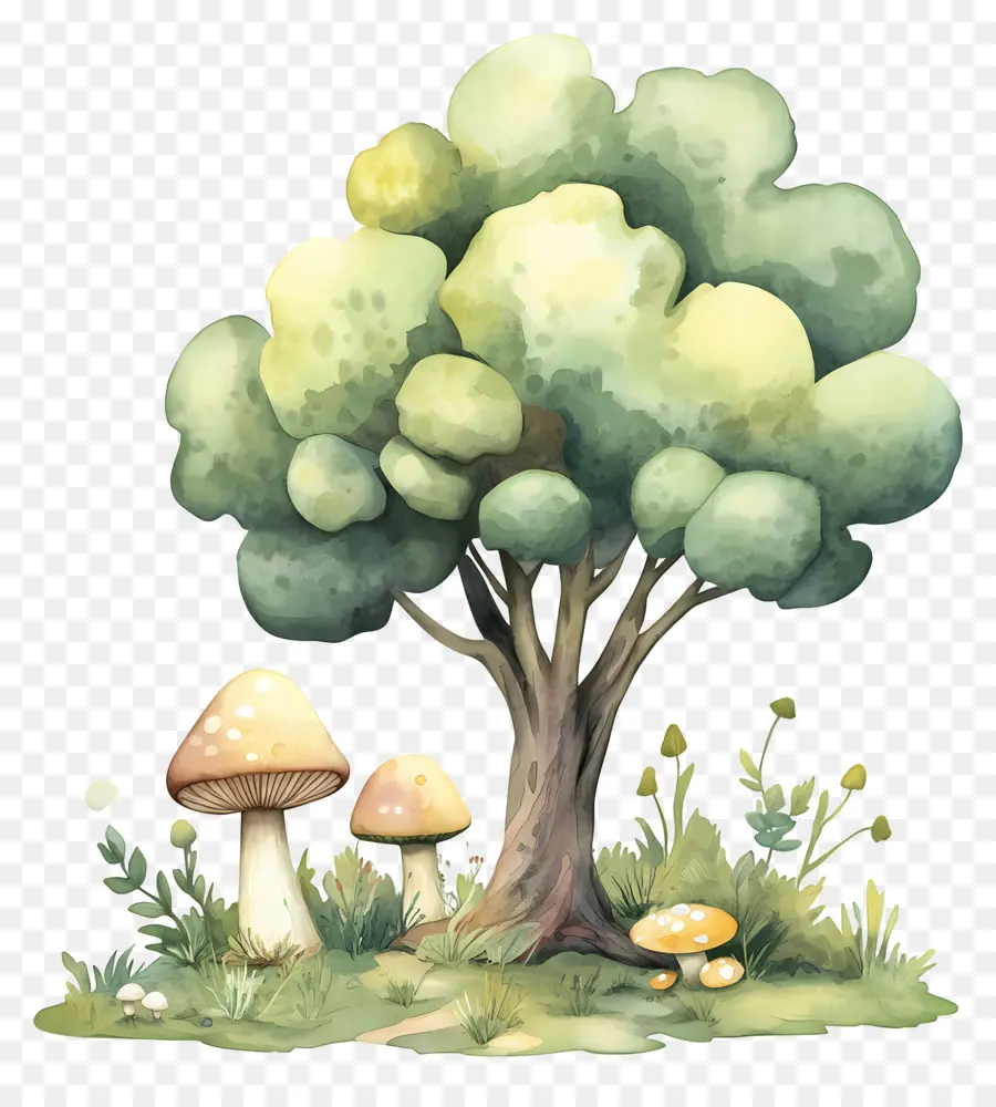 Arbre Aquarelle，Arbre Et Champignons PNG