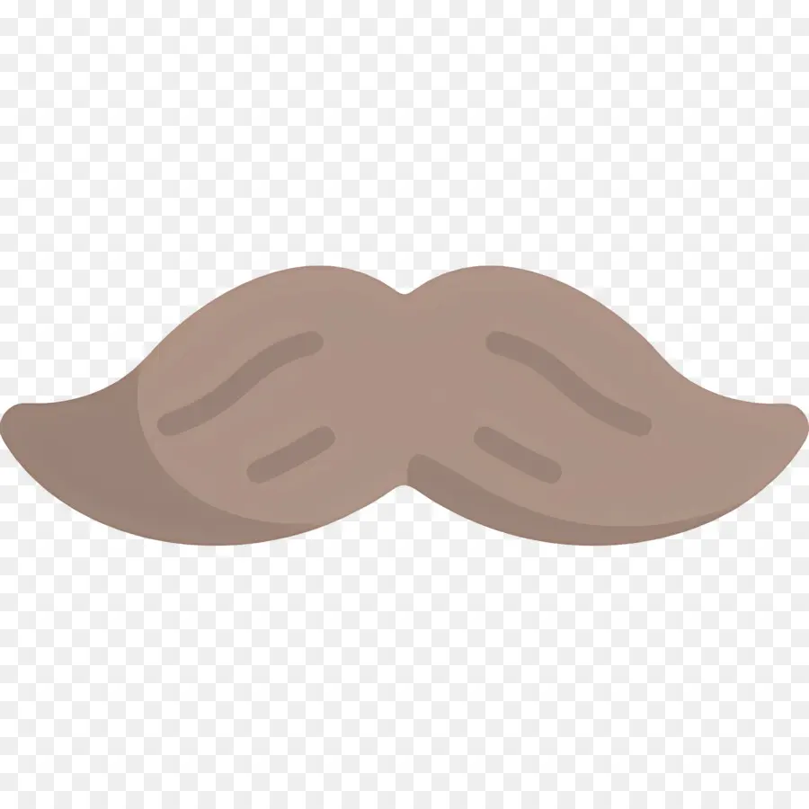 Moustache，Poils Du Visage PNG