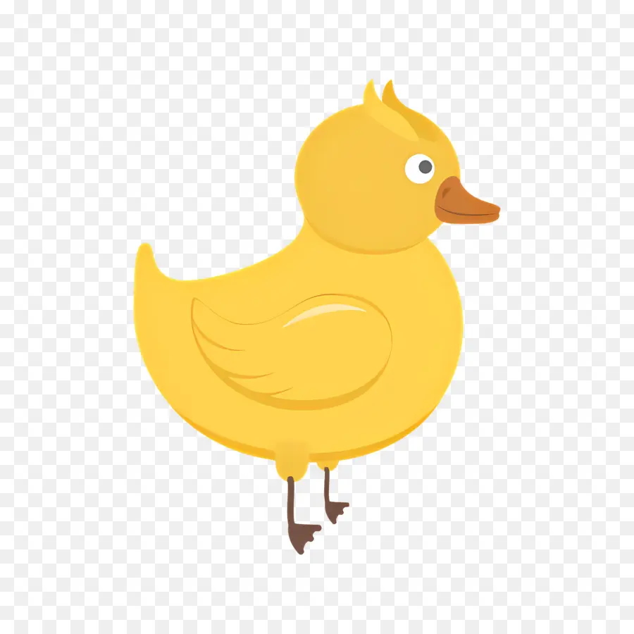 Canard De Dessin Animé，Canard Jaune PNG