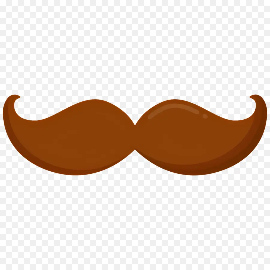 Moustache，Poils Du Visage PNG