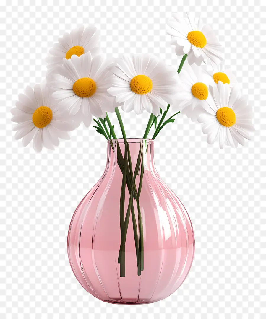 Vase Marguerite，Marguerites Blanches Dans Un Vase Rose PNG