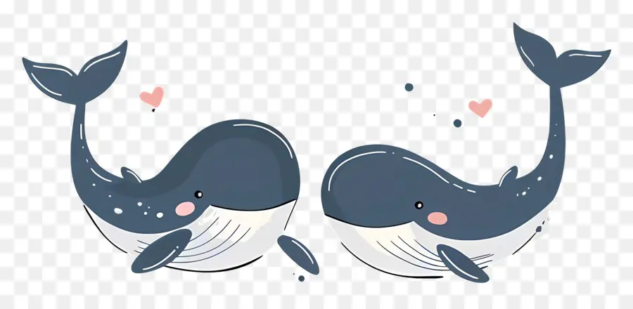 Jolie Baleine，Baleines PNG