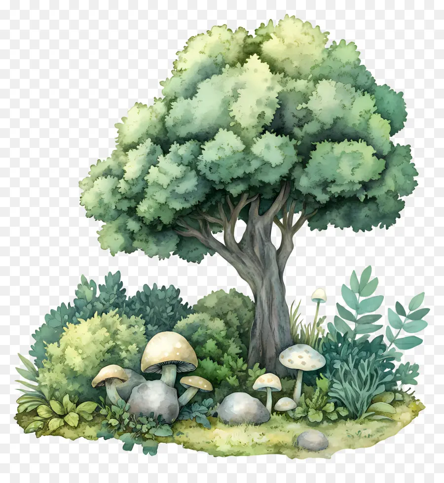 Arbre Aquarelle，Arbre Et Champignons PNG