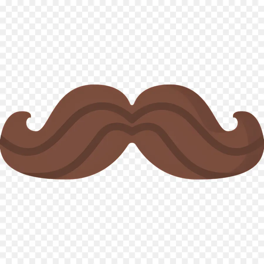 Moustache，Poils Du Visage PNG