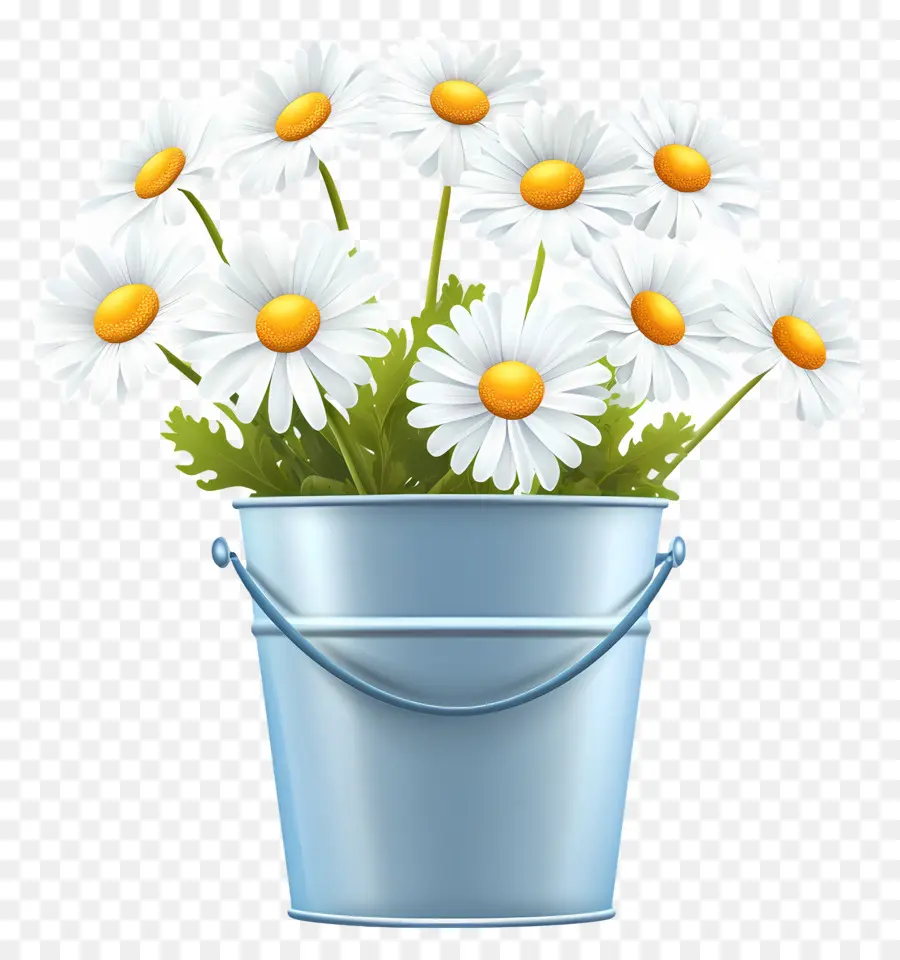 Marguerites，Marguerites Blanches Dans Un Seau Bleu PNG