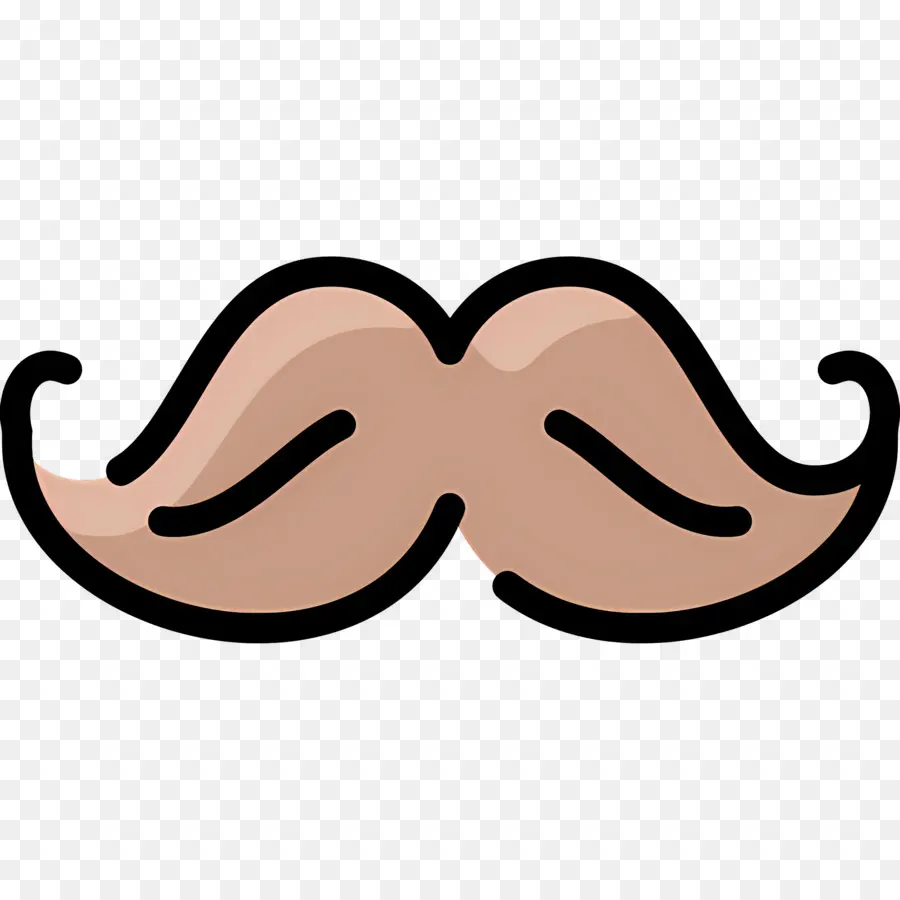 Moustache，Poils Du Visage PNG