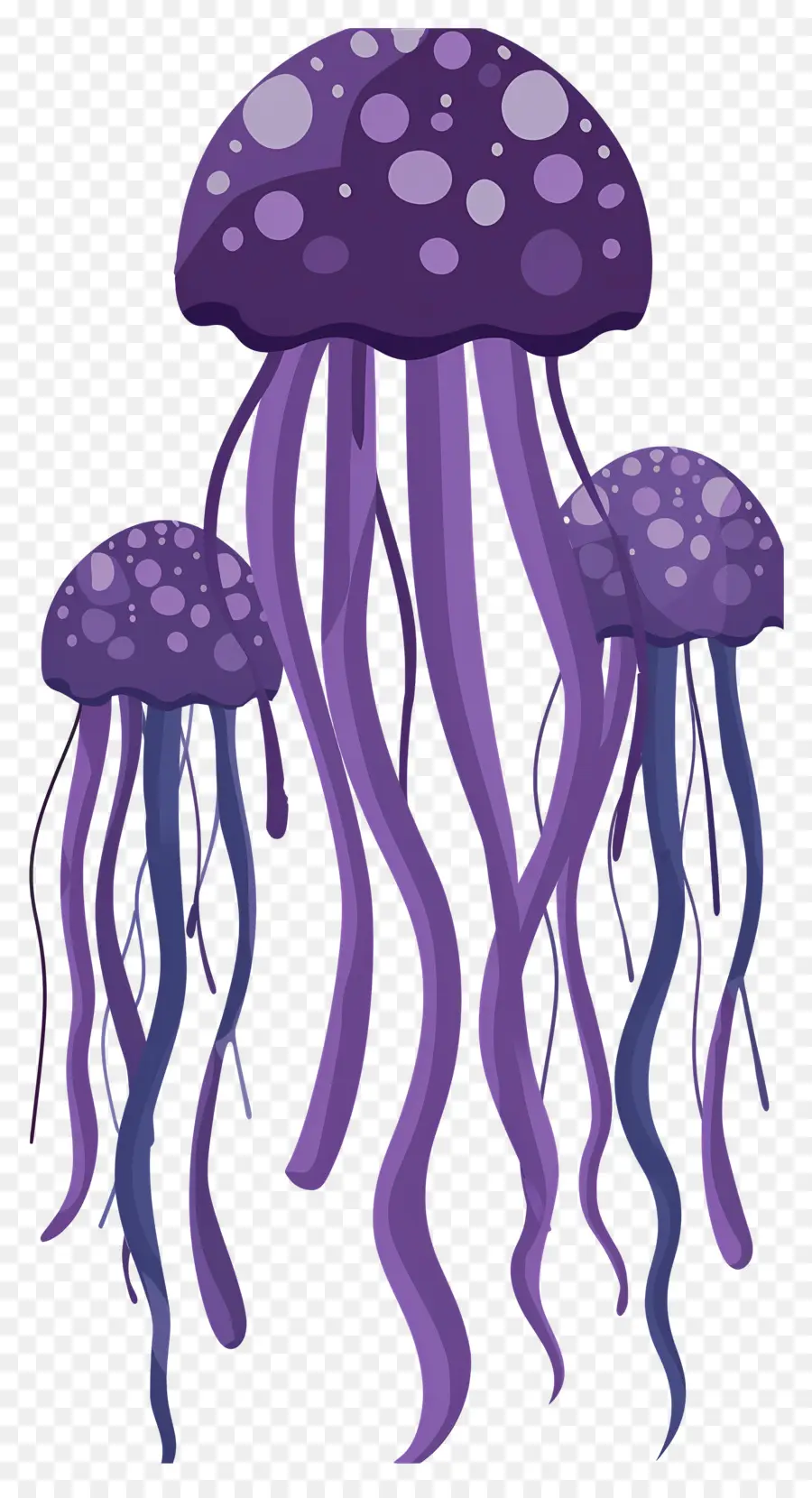 Méduse，Méduse Violette PNG