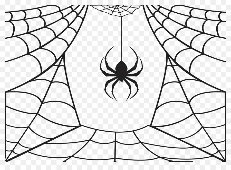 Toile D'araignée D'halloween，Araignée Sur Web PNG